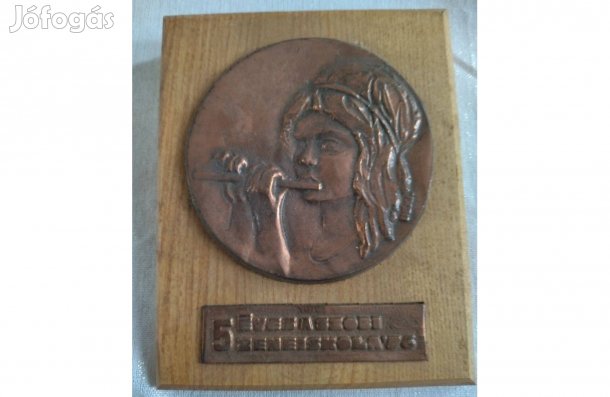 5 éves a szobi zeneiskola bronz emléklap
