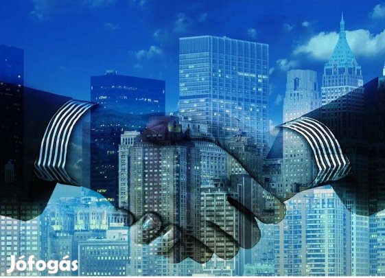 5 éves működő kft cég eladó