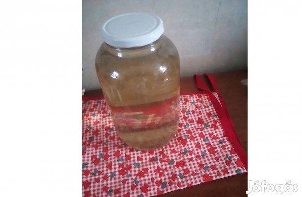 5 literes befőttesüvegek lapkával