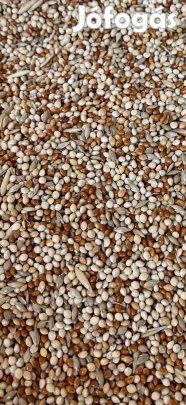 5 magvas magkeverék köles