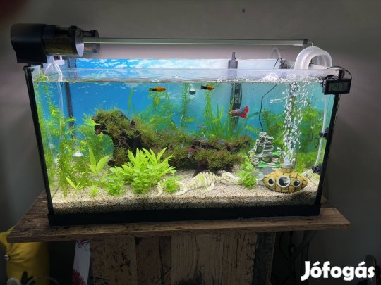 60 literes akvárium állvánnyal