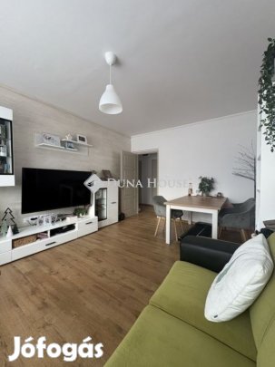 60 nm-es lakás eladó Kecskemét