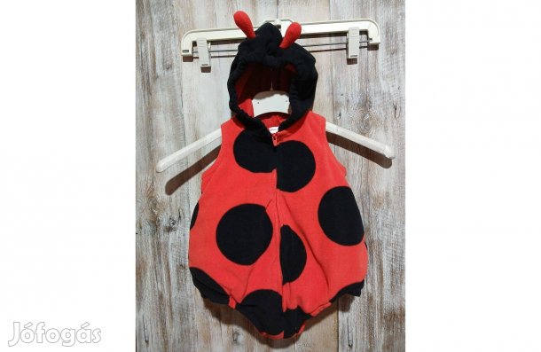 62-68-as Carter's katicabogár jelmez