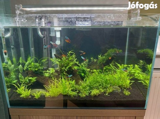 63 literes akvárium jó állapotban eladó