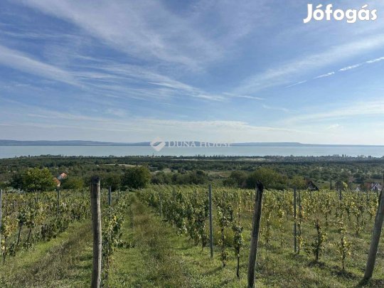 6477 nm-es telek eladó Balatonakali