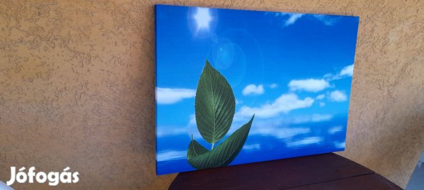 65x45 cm -es kép. Teljesen új!