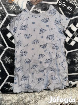 68-as Oroszlánkirály napozó 