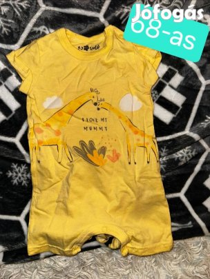 68-as zsiráfos napozó 