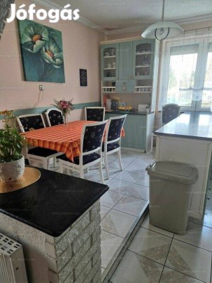 69561 Nyíregyháza, kedvelt részén Családi Ház, Jól Működő Vállakozáss