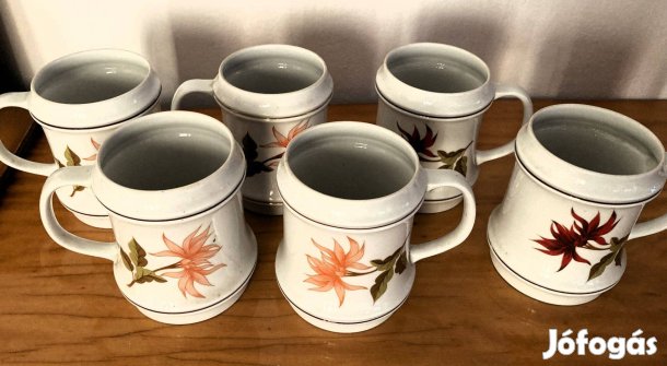 6 db Hollohazi porcelan korso (3 dl). Egyben elado. Hibatlan