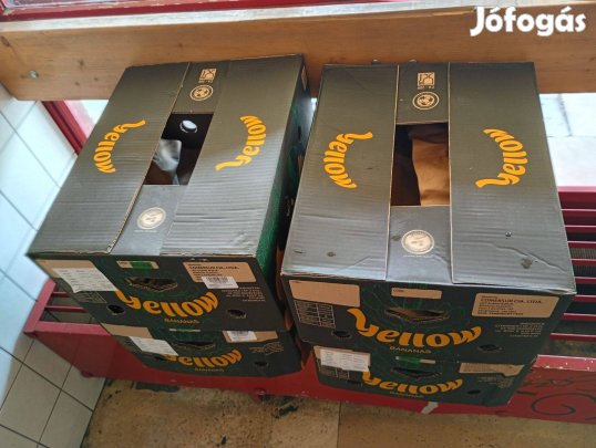 6db banános karton doboz eladó 3000ft óbuda kizárolag személyesen óbud