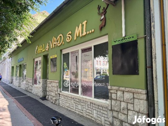 750 nm-es ház eladó Mohács