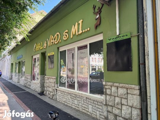 750 nm-es ház eladó Mohács