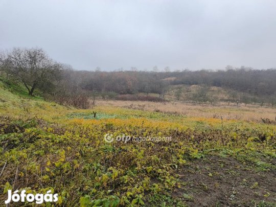 754 nm-es telek eladó Demjén
