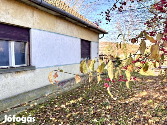 75 nm-es felújítandó családi ház 1209 nm-es területtel