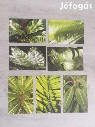 7 darabos növényes képsorozat - dekor vagy hobbi célra
