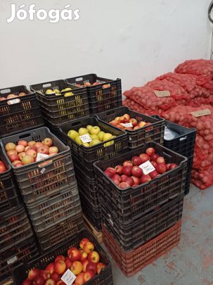 7 fajta szabolcsi alma eladó Újpesten 