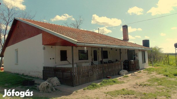 7 hektáros birtok eladó Csengelén