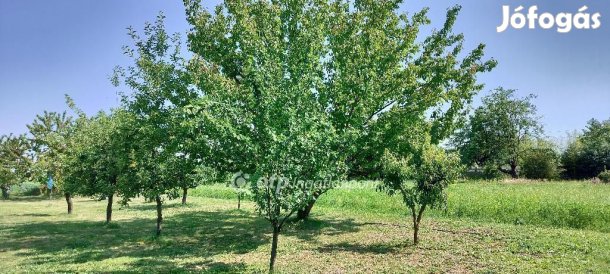 80 nm-es ház eladó Szil