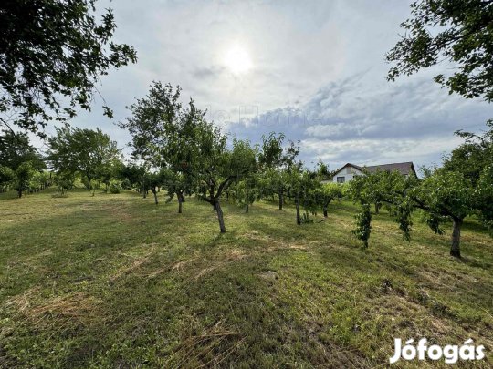 8335 m Etyeken  nem mindennapi lehetőség a borvidéken