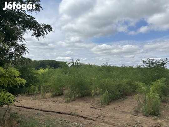 87283 nm-es telek eladó Monor