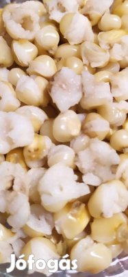 8 soros kukorica ( lófogú )