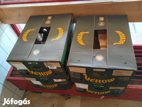 8db banános karton doboz eladó 4000ft óbuda