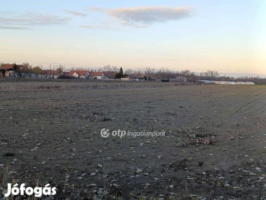 9291 nm-es mezőgazdasági ingatlan eladó Üllés