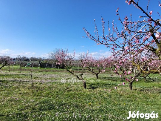 939 nm-es telek eladó Siófok