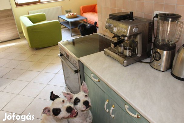 AEG elektromos sütő