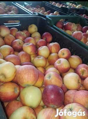 ALMA Akció 200FT/KG