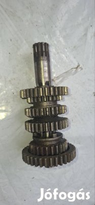 AM 6 váltó fogaskerék tengely sor