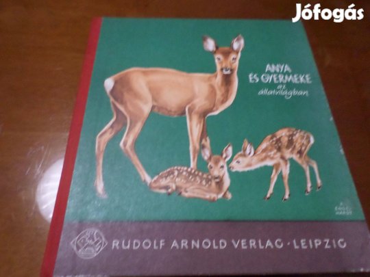 ANYA És Gyermeke az állatvilágban Gyermekkönyv