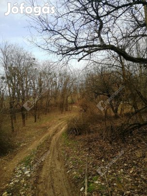 A 76-os főúthoz közel, Nagykapornakon 1 ha-os terület eladó!