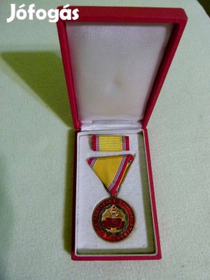 A Haza Fegyveres Szolgálatában-10 év