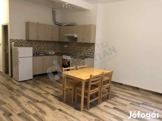 A Keleti Károly utcában a  II. kerületben kiadó egy földszinti lakás!