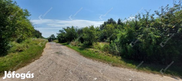 A Kiskutasi hegyen telek eladó akciós áron