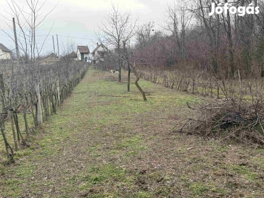 A LIDO HOME TATABÁNYA eladásra kínál egy présházat Kisbéren.