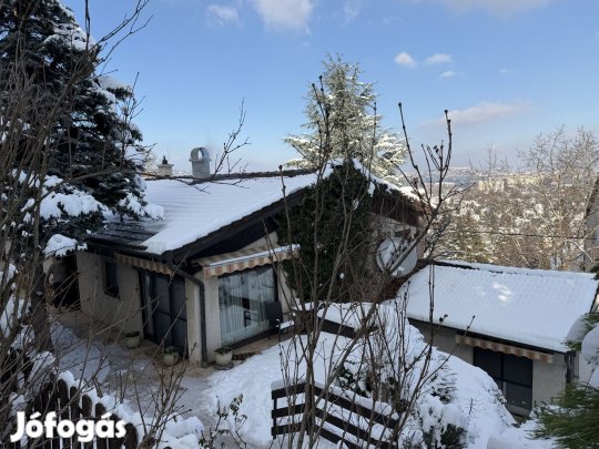 A Lehetőségek tárháza 325 m2-en!