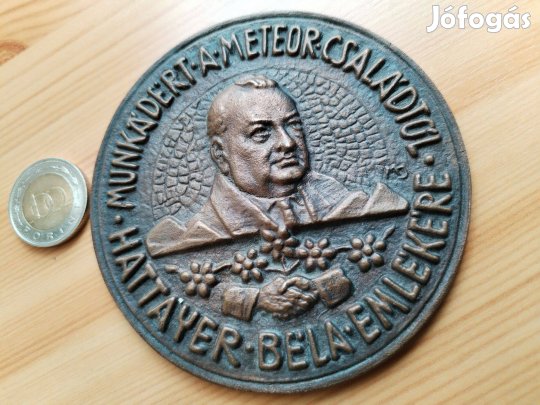 A Meteor Családtól Hattyayer Béla emlékére a munkádért bronz