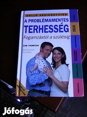A Problémamentes terheség Holló Kézikönyvtár
