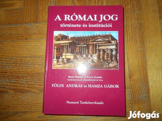 A Rómaijog története és institúciói