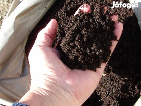 A Trágya Komposzt. oltvány palánta csemete növények évelő magaságyás