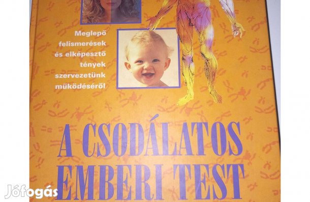A csodálatos emberi test
