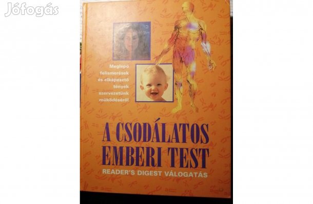 A csodálatos emberi test