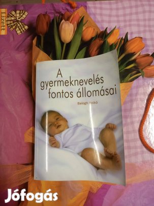 A gyermeknevelés fontos állomásai