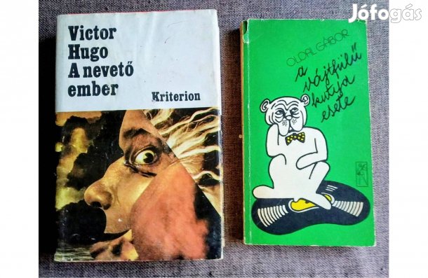 A hanglemez regénye A Vájtfülű kutya esete Sok Mást Is Hirdetek