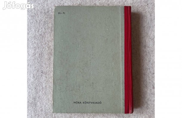 A kőszívű ember fiai - Jókai Mór