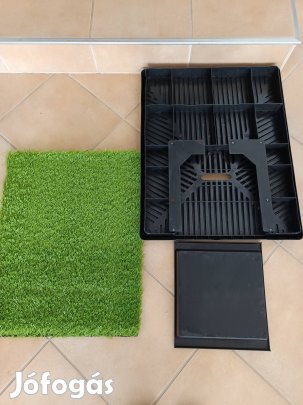 A kutya szobatisztaságáért