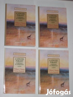 A lengyel paraszt (töredék, 3., 4., 5. kötet)